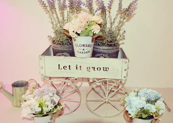 Romantic Dreams Guest house Rome